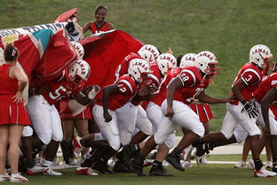 爱游戏官网充值-全国青少年马拉松赛南京站热力开启,2021南京马拉松赛